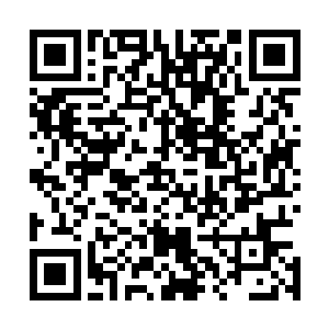 让新帝国能站稳脚跟甚至掌控整片星海中央的绝大部分资源二维码生成