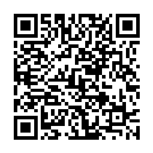 让施用等修士在气势上不知不觉地竟然矮上了几分二维码生成