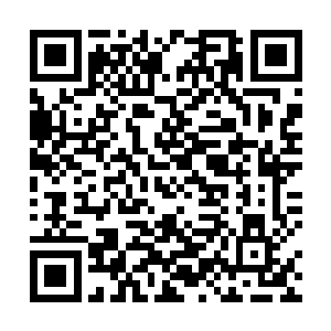 让无一不是性格强硬之辈的巨富大佬忍气吞声任他宰割二维码生成