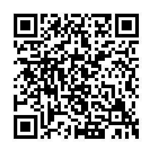 让有点汗流浃背的司南下和邸坤成都松了一口气二维码生成