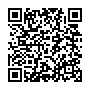 让杰德泰也终于开始正视起了剑尘一直带在身边的小白虎二维码生成
