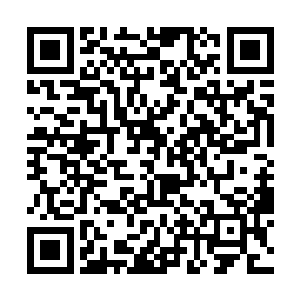 让没有动静的查理突然抽搐并且张大满是锯齿的嘴巴二维码生成