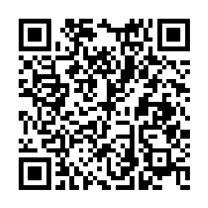 让洛浪等人有了心情去关心罗少云与李菁弘战果二维码生成