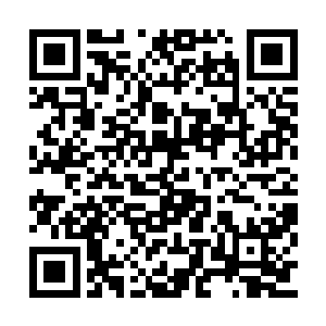 让父母带领所有族人都进入以前修建的秘境中去二维码生成