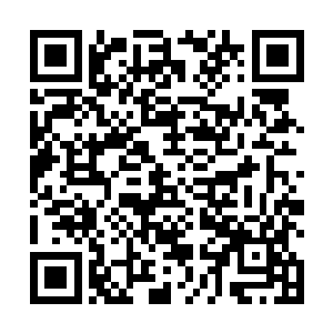 让猴子给自己的茶壶装满茶水就很快的进入了工作状态二维码生成