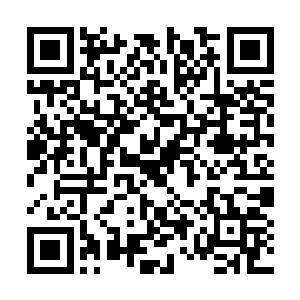 让的士师傅送我和白狐以及目标人去往紫山小村庄二维码生成