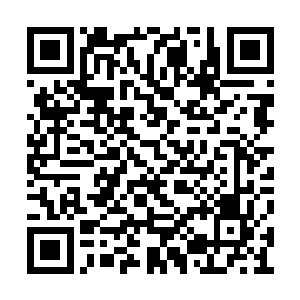 让的外人根本就要看不清楚里面到底发生了什么二维码生成