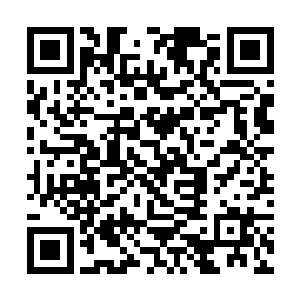 让神识都放在整个杰亿号上的两人对他刮目相看之余二维码生成