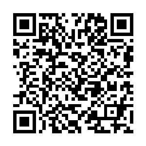 让莫小鱼在顾依依这里第一次体会到了皇帝般的感觉二维码生成