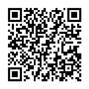 让莫小鱼无处发泄的体力只能是暂时储备下来了二维码生成