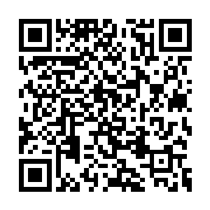 让赵虎的嘴角不由自主的露出了一丝兴奋的笑容二维码生成