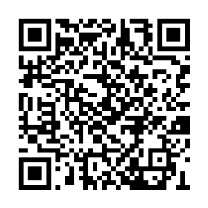 让这世界上的每一个人都知道这是假的不真实的二维码生成
