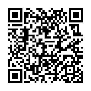 让这个家伙活生生用双手把这头土龙给扭断了脖颈二维码生成