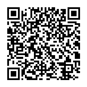 让这么多高阶神血战士修出一条这么宽这么长这么平整美丽的道路二维码生成
