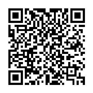 让这些富豪劫匪舒服了在有钱人看来就是变向的鼓励别人这么干二维码生成