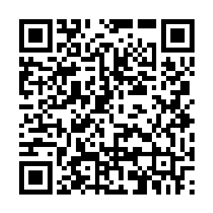 让这从来不知所措的美貌帝姬仿佛找到了一点方向二维码生成