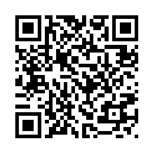 让这仙海鱼儿的结界铠甲出现问题二维码生成