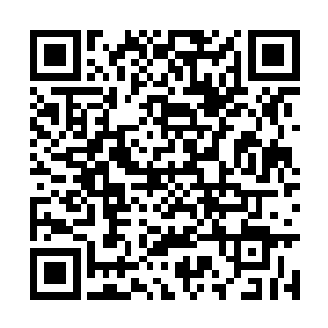 让这孩子年纪轻轻就承受了太多的无奈和力不能及二维码生成