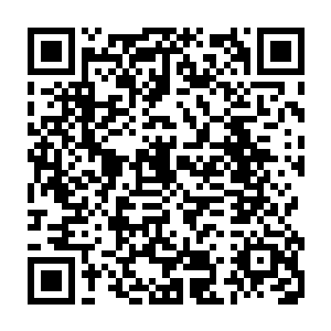 让这架滑翔机在不依赖气候条件的情况下任然拥有非常好的飞行和操控性能二维码生成