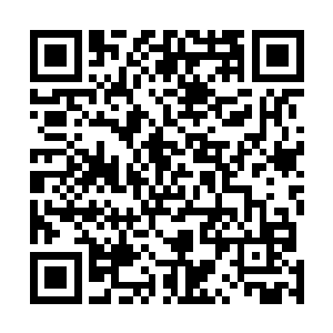 让那个什么许紫烟带着莲花峰的各个殿主亲自来拜见王者二维码生成