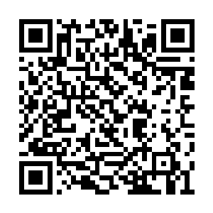 让那些神情振奋的万仙殿门人弟子颇感诧异的是二维码生成