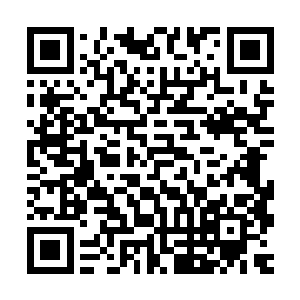 让那些还处在目瞪口呆状态之中的各家族代表们全部躁动了起来二维码生成