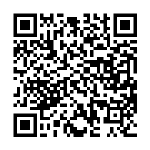 让那只极北的冬狼之国再度归来在真正的冬狼之王面前二维码生成