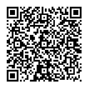 让雷志虎和卢楠两人再度觉察到陆为民在宋州似乎并非初来乍到毫无影响力那么简单二维码生成