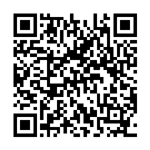 让青云给两只雪狼闻了闻闹羊花好让它们少受一会儿罪二维码生成