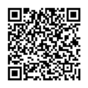 让飞鹰靠近……霎时从石壁中传来一股巨大的拉力二维码生成