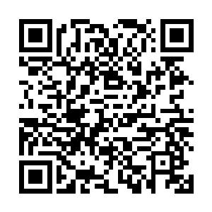 让黑炭身上的那套战甲也有一定的伸缩空间意味着什么二维码生成