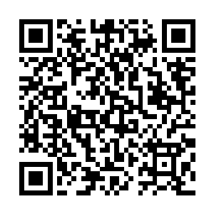训练营原计划想等十强排名争霸赛结束后为你开启武技密室二维码生成
