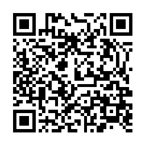 议事厅中每位有资格坐下的人面前都多出了一张木案二维码生成