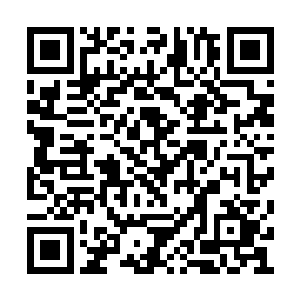 议会已经通过空军与海军在海上联合演习的决议二维码生成