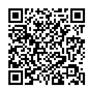 记得去年我们参赛只打到八强就遭遇到了当时如日中天的ong二维码生成