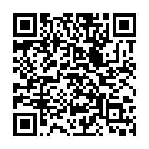 记忆中除了一个个泥捏的动物和她笑得打跌的样子二维码生成