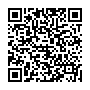 记者们想要在红地毯如此竞争激烈的地方抢占先机二维码生成