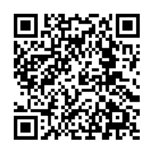 许响挠了挠后脑勺他对于家人这个概念还不是很清楚二维码生成