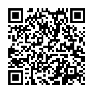 许多不明底细的魔族想要冲过去破坏巨树的成长二维码生成