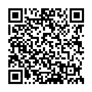 许多人还以为这是此次圣杏文会的固定节目之一二维码生成