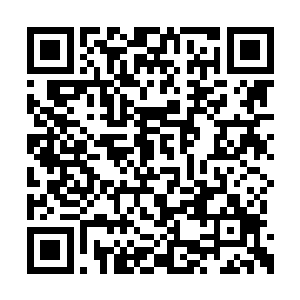 许多人都在暗中悄悄打量着坐在首座上的定王妃二维码生成