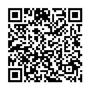 许多修真者没有权限的大楼都在这一日正式解除限制二维码生成