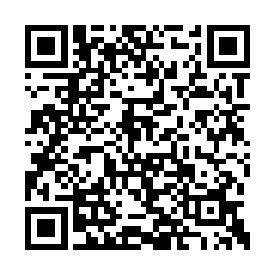 许多司机怕没撞死如果抢救之后变得瘫痪之类的二维码生成