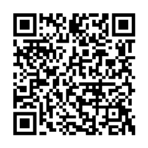 许多四品上等天赋的人都被他远远的甩在了后面二维码生成