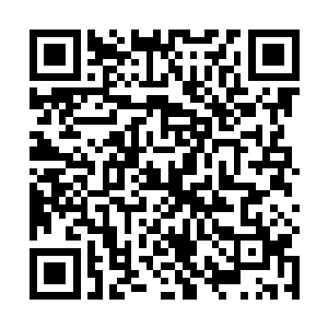 许多地方以绢花妆点倒也是绿树红花一派生机盎然之一二维码生成