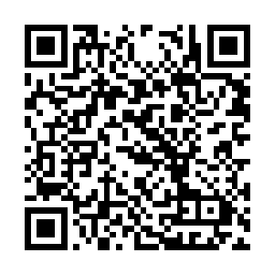 许多性子活泼的姑娘听闻柳母的话面上都露了喜色二维码生成