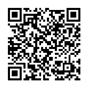 许多行贿人都选择本配合纪委或者检察机关的调查二维码生成