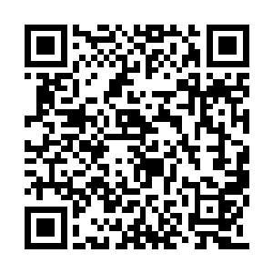 许多食骨部的族人为了争抢这一块血肉大打出手二维码生成