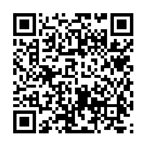 许嬷嬷不愧是在后宅里经过了不少大风大浪的老人二维码生成