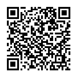 许家现在能够定下来的只有一个大乘初期和十个分神中期二维码生成